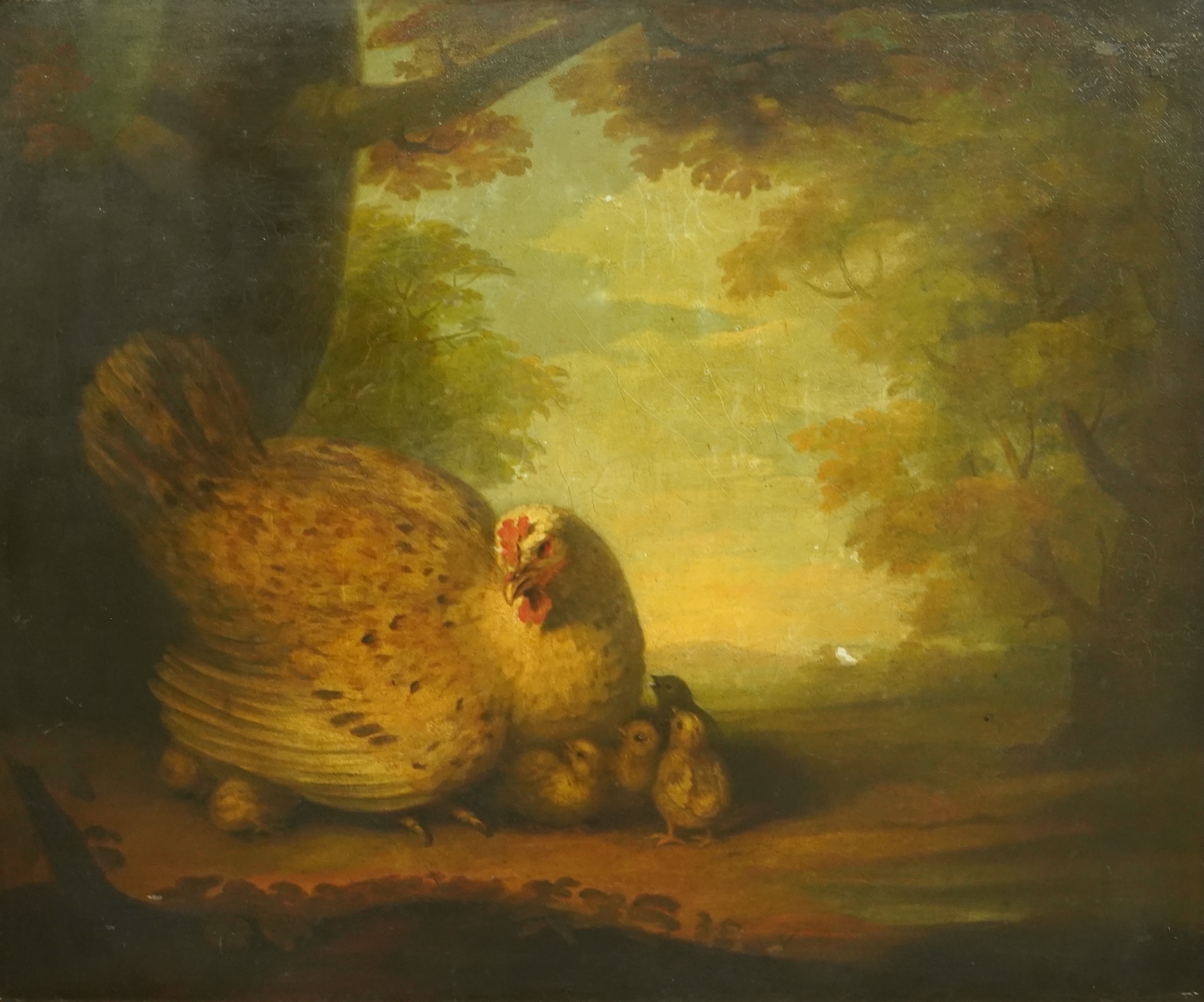 Early 19th Century English School, Chicken and chicks in a wooded landscape, oil on canvas, 62 x 75cm